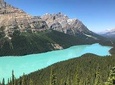 Private Tour of Lake Louise and the Icefield Parkway for up to 13 guests
