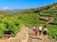 Small-Group Food & Wine Tasting Experience from Dubrovnik