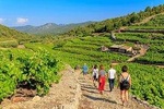 Small-Group Food & Wine Tasting Experience from Dubrovnik