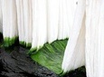 Learn The Art Of Textile Dyeing In Sanganer, Near Jaipur