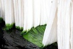Learn The Art Of Textile Dyeing In Sanganer, Near Jaipur