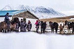 Horse Riding in Winter - The Viking Ride - 1,5 hours - North Iceland 