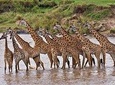 Privat 4 Day Wildlife Safari: Amboseli, Tsavo West & Tsavo East 