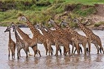 Privat 4 Day Wildlife Safari: Amboseli, Tsavo West & Tsavo East 