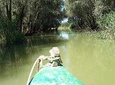Private 3-Day Tour Danube Delta Birdwaching and Safari Experience from Bucharest