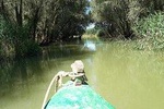 Private 3-Day Tour Danube Delta Birdwaching and Safari Experience from Bucharest