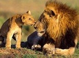 Private 9 Days Best Kenya Family Wildlife Safari from Nairobi