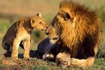 Private 9 Days Best Kenya Family Wildlife Safari from Nairobi