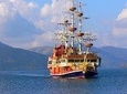 Mt. Fuji&Hakone Tour, with Private Car from Tokyo up-to Hakone Spa/Odawara City 