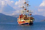 Mt. Fuji&Hakone Tour, with Private Car from Tokyo up-to Hakone Spa/Odawara City 