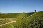 VENEZIA-VERONA AMARONE TOUR