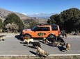 Knossos & High Mountains (Luxury Safari Adventure Excursion)