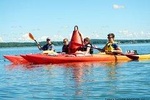 Muffins on an Island Sea Kayak Tour in Casco Bay