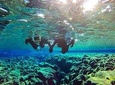 Snorkeling Between Continents in Silfra with Photos Included