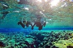 Snorkeling Between Continents in Silfra with Photos Included