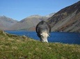 High Adventure Tour from Oxenholme