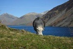 High Adventure Tour from Oxenholme