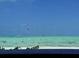 Paje Beach & Blue Lagoon Half Day Tour in Zanzibar Lunch Included