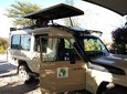 Nairobi orphanage half day tour