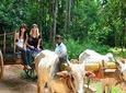 02 Days Private Sigiriya and Minneriya Tour With Village Experience From Colombo