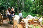 02 Days Private Sigiriya and Minneriya Tour With Village Experience From Colombo