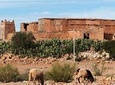 Offshore Amazigh Fortified Granaries