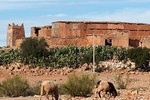 Offshore Amazigh Fortified Granaries