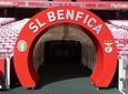 Stadium of Benfica Experience and Museum Visiting