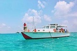 Snorkel Icacos Island aboard The Innovation