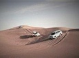 Budget Desert Safari Experience