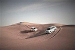 Budget Desert Safari Experience