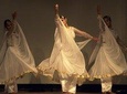 Straight from the Fire - Dinner and Dance Show with private transfers