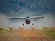 Private 3 Day Masai Mara Flying Luxury Lodge Safari