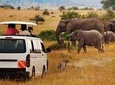 Private 8 Days Mombasa, Tsavo East, Amboseli, Naivasha & Masai Mara Safari