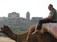 Same Day Trip To National Chambal Sanctuary From Agra With Camel Safari