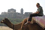 Same Day Trip To National Chambal Sanctuary From Agra With Camel Safari