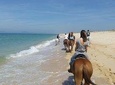 Horse Riding Tour on the Beach
