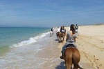 Horse Riding Tour on the Beach
