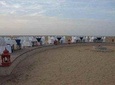 Thar Desert Camel Safari with Folk Music and Overnight Camping