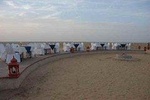 Thar Desert Camel Safari with Folk Music and Overnight Camping