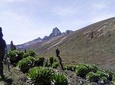 5 Days Mount Kenya Trekking Through Sirimoni-Chogoria Route