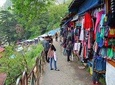 Half Day Shopping Tour In Shimla