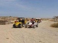 El Gouna Sahara Dune Buggy Morning Adventure