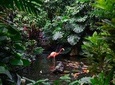 Victoria Butterfly Gardens
