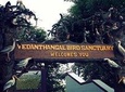 Visit to Vedanthangal Bird Sanctuary from Chennai