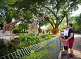 Explore The World of Animal Paradise Full Day Tour From Kuala Lumpur