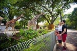 Explore The World of Animal Paradise Full Day Tour From Kuala Lumpur