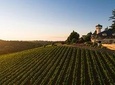 Oregon Priority Wine Tasting Pass