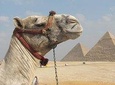 Full-Day Tour to Ancient Egypt