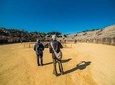 Italica Roman City Tour from Seville